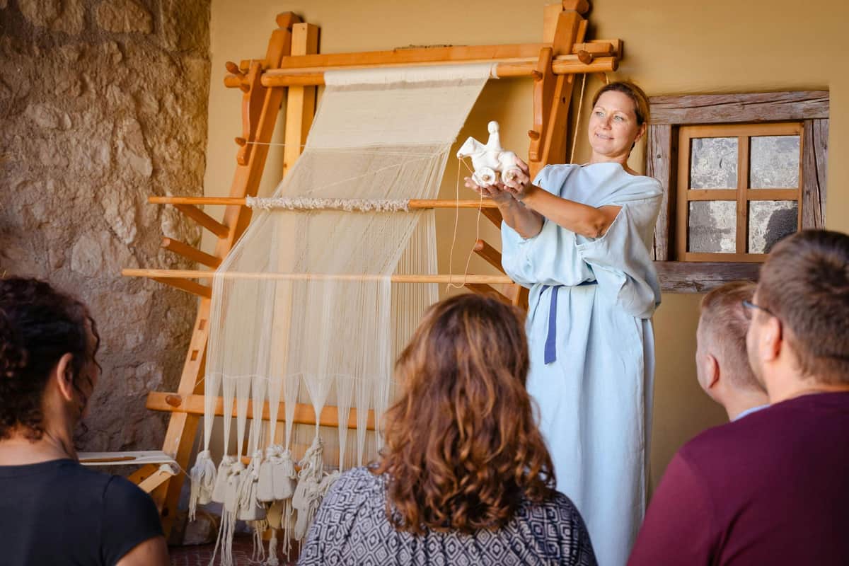 Roman City of Carnuntum: Guided Tour in German Guided tour of the Roman Quarter