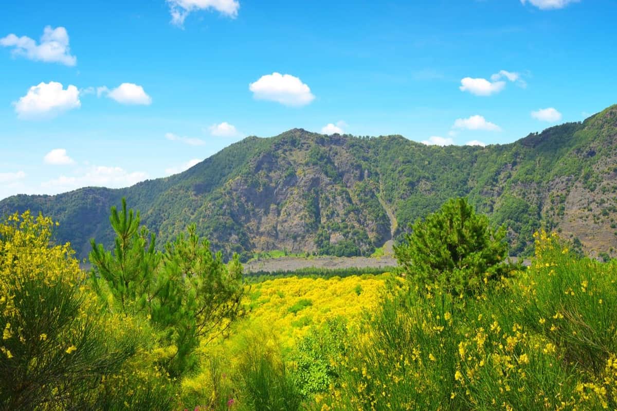 Vesuvius & Pompeii: Skip The Line Tickets + Roundtrip from Salerno Vesuvius Nature