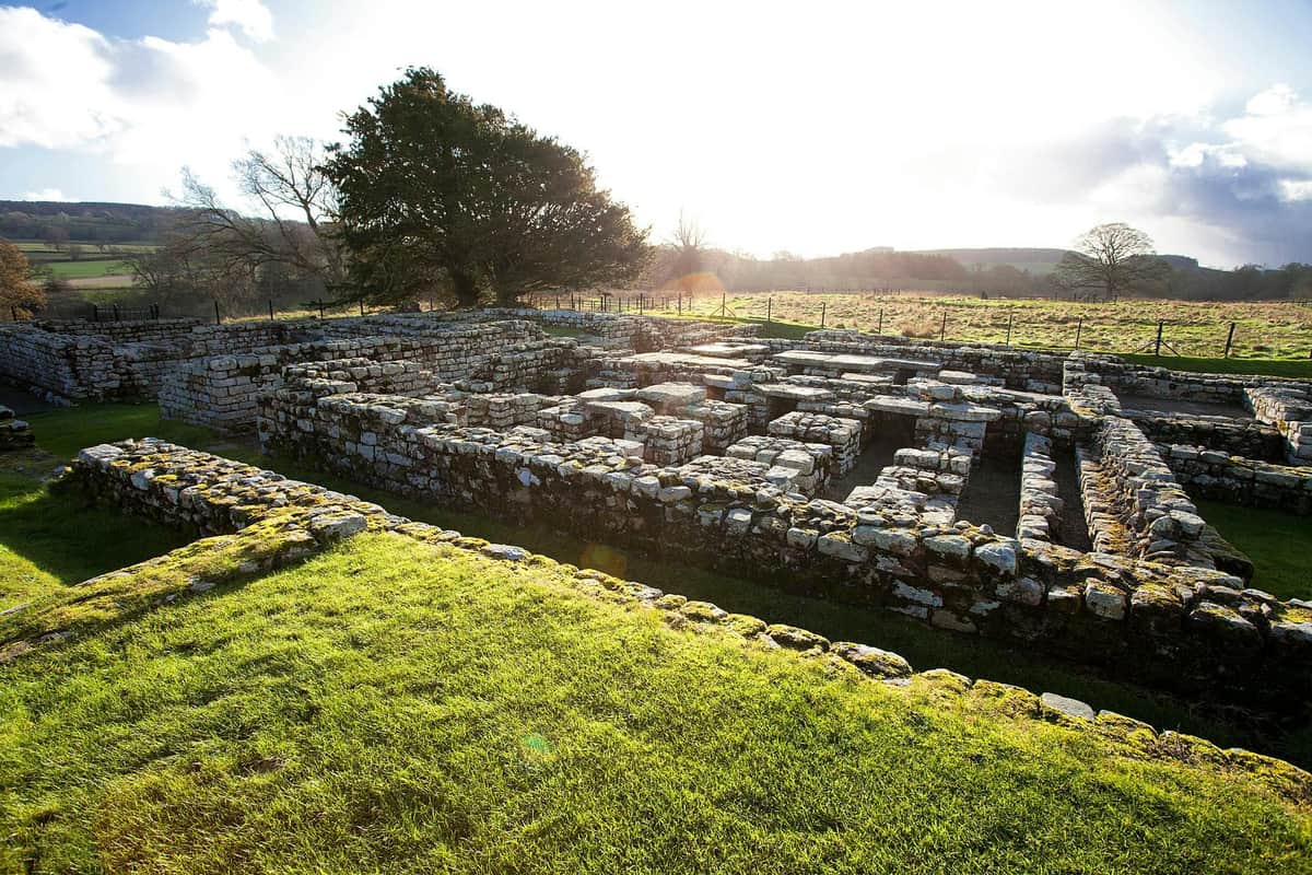 Chesters Roman Fort and Museum - Hadrian's Wall Ancient stone ruins with moss-covered walls in a grassy field, with a large tree and sunlight filtering through in the background.