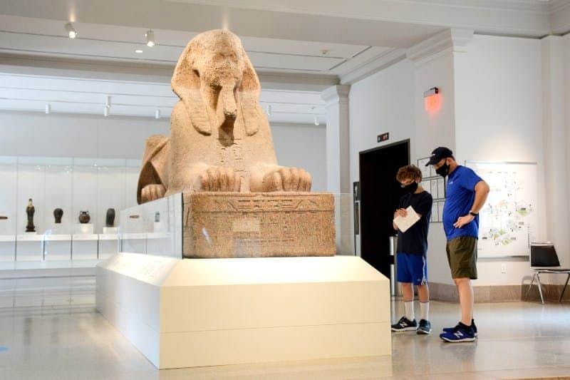 Penn Museum of Archaeology and Anthropology: Fast Track Two people standing in a museum observing a large sphinx statue encased in glass.