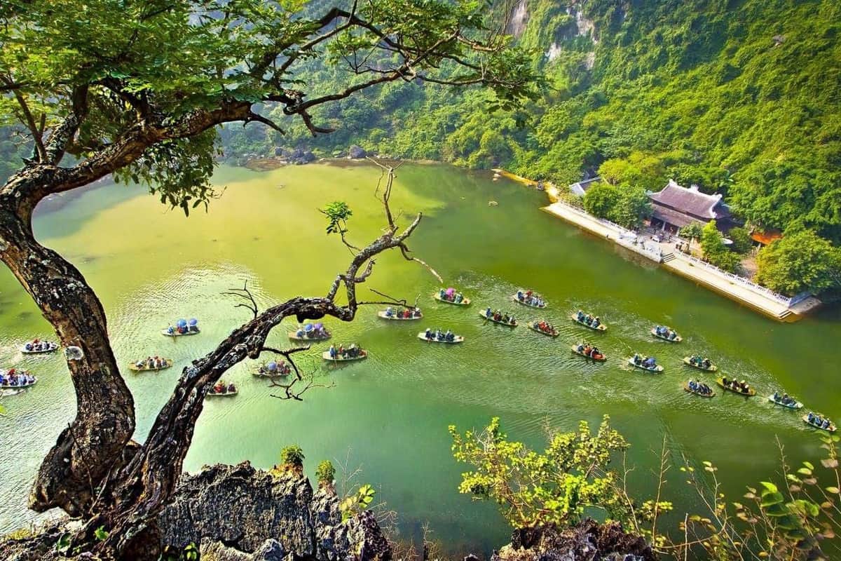 A scenic view of a river with boats carrying people, surrounded by lush greenery and a tree branch in the foreground.