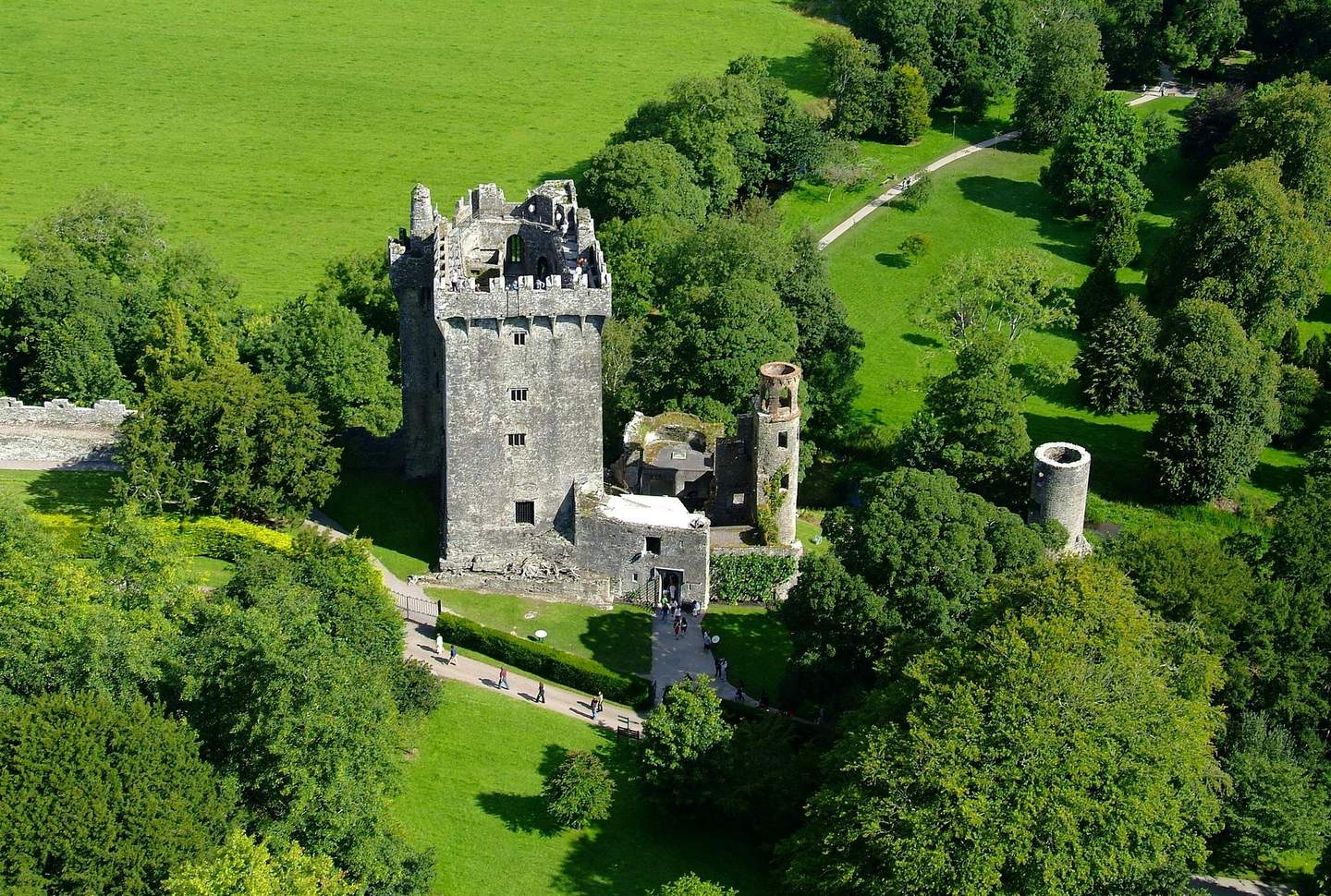 Blarney Castle Aerial view of an old stone castle with a tower, surrounded by lush green trees and pathways.