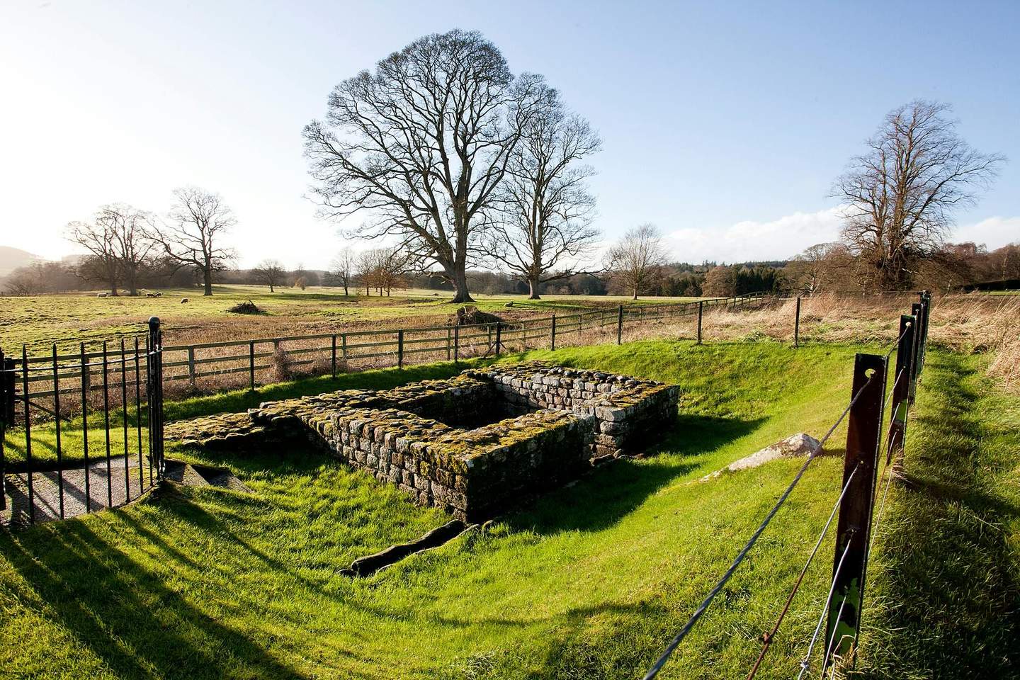 Chesters Roman Fort and Museum A stone ruin in a grassy field, fenced off with large leafless trees in the background under a clear sky.