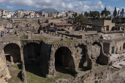 Herculaneum: Entry Ticket -