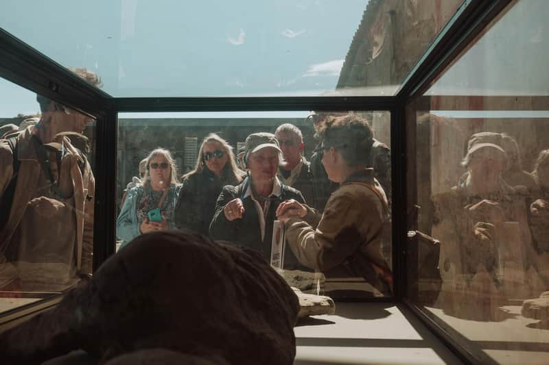 Pompeii: Half-Day Guided Tour from Rome + Roundtrip Train