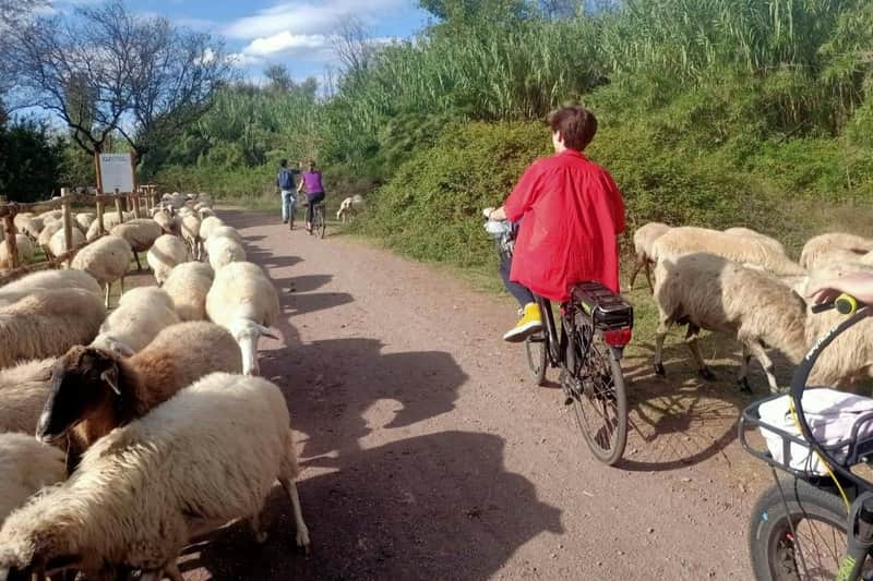 Appia Antica, Aqueducts & Catacombs Rome: E-Bike Tour