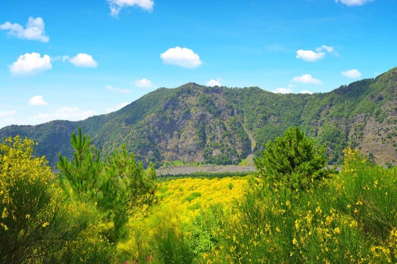 Vesuvius & Pompeii: Skip The Line Tickets + Roundtrip from Salerno