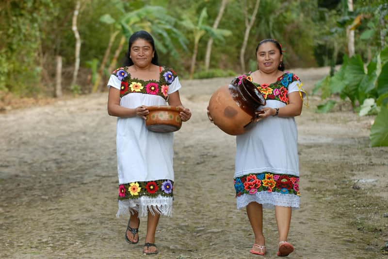 Cobá Ruins, Punta Laguna & Cenote: Guided Tour, Transfer from Tulum + Lunch
