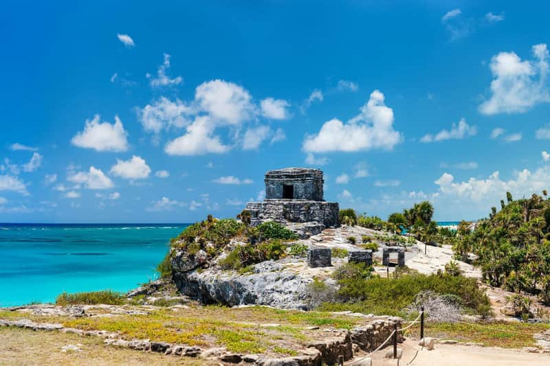 Tulum: Snorkeling with Turtles in Akumal + Mariposa Cenote + Lunch + Transfer