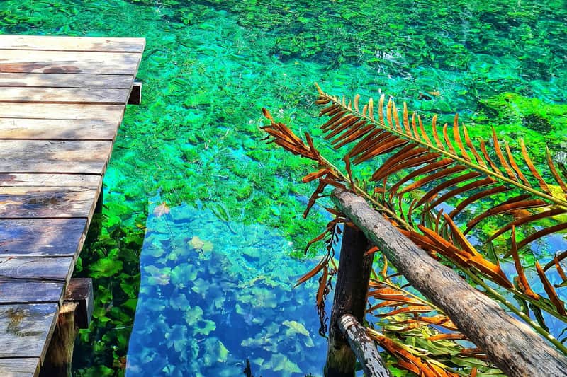 Maya Ruins of Tulum, Eco Park & Snorkeling: Guided Tour, Entry, Transfer + Lunch