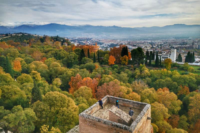 Alhambra & Nasrid Palaces: Guided Tour + Local Food Experience