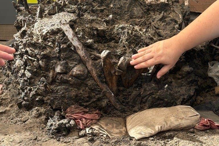 La Brea Tar Pits and Museum: Guided Insider Tour