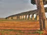 Parco Archeologico Appia Antica